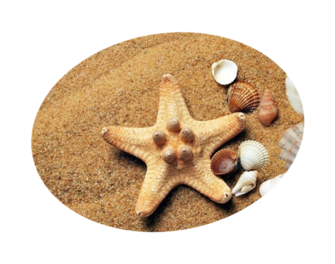 Freizeittipps  Rügen